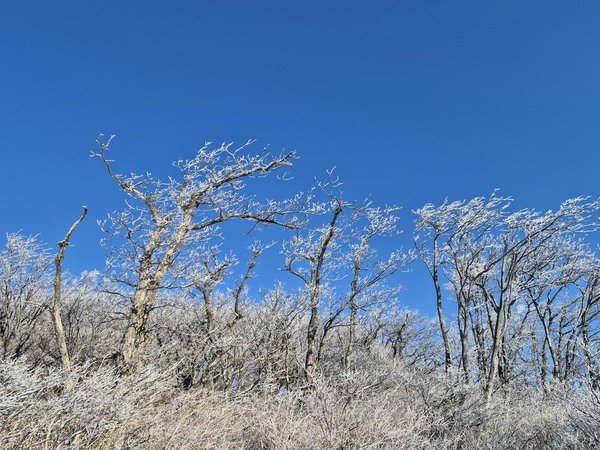 Apprenez les techniques de massage classique en suisse